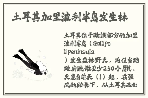 坤坤寒进桃子里嗟嗟日本